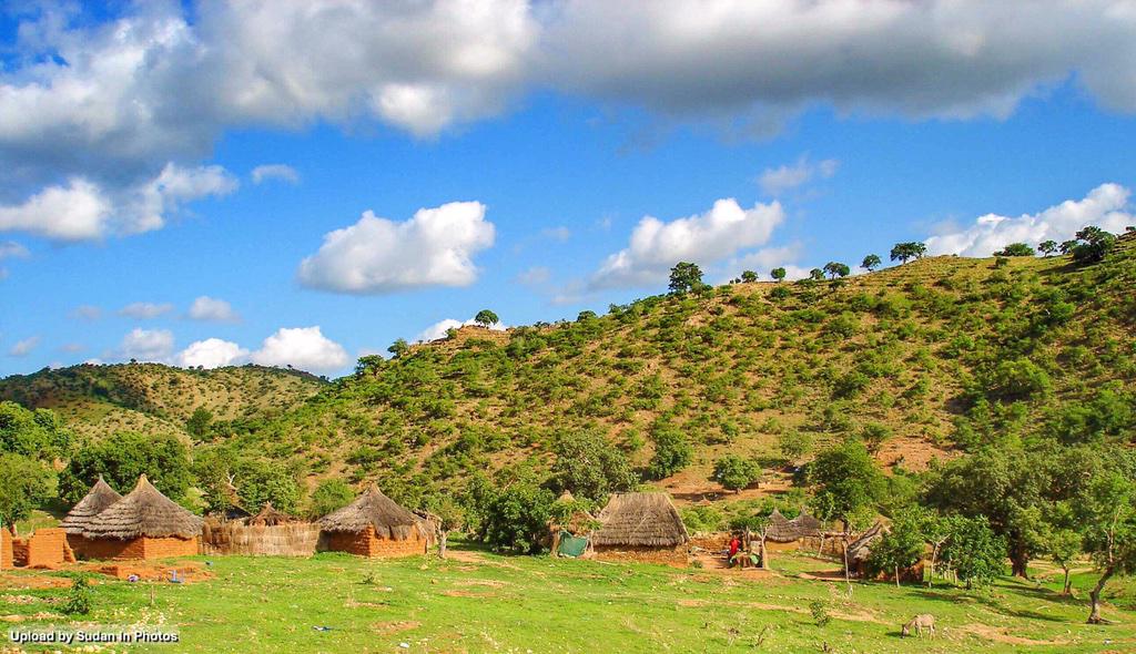 sudaninphotos's tweet image. Huts in the Nuba mountains, Southern Kordofan 
قطاطي في جبال النوبة بالقرب من كاودة، جنوب كردفان 
#sudan #kauda #nuba