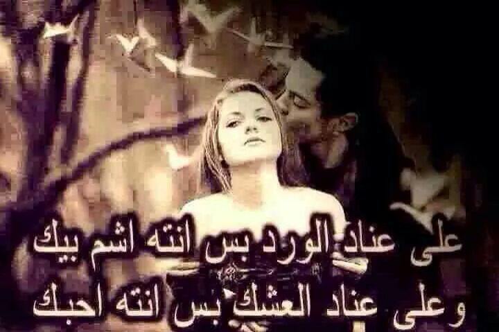 falh9911's tweet photo. للكلب صار الشوف مو شوف الأعيون من صوتك انه ارتاح لو شوفك اشلون http://t.co/FdXoab6tbB
