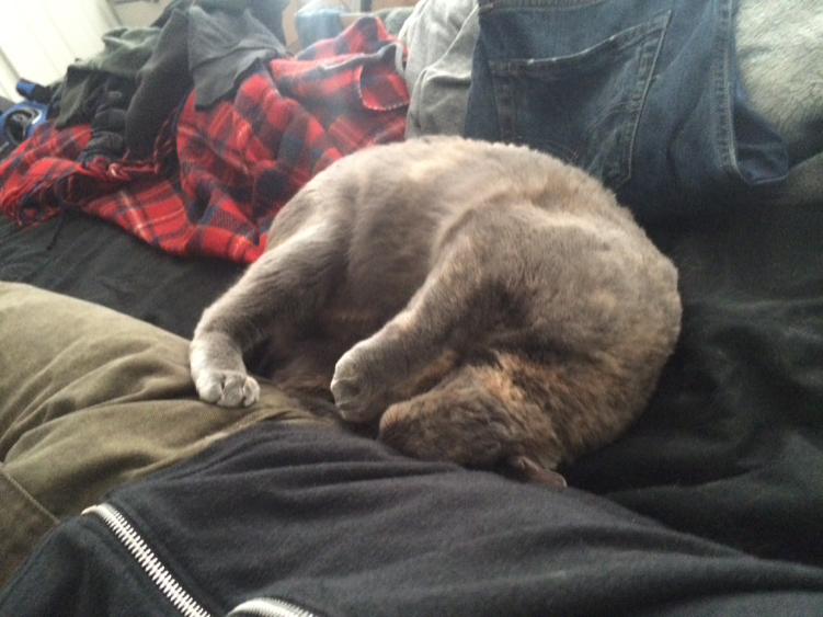 shuttupgia's tweet image. She only stayed mad for a couple secs #Oswin