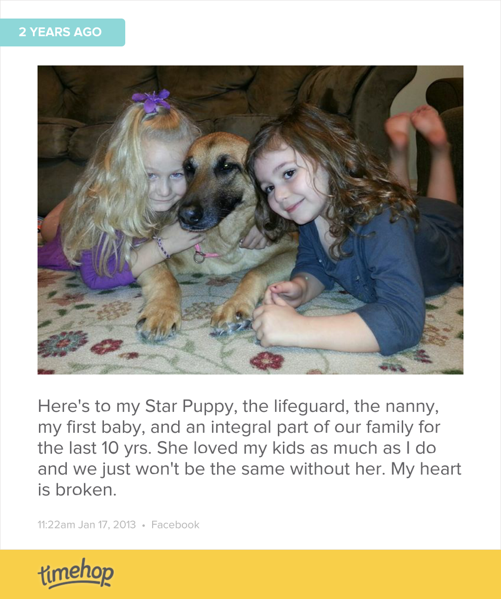 christabuchan's tweet photo. My heart still aches over the loss of Star!  http://t.co/ArD7cGnBFI http://t.co/h5zgBEv17F