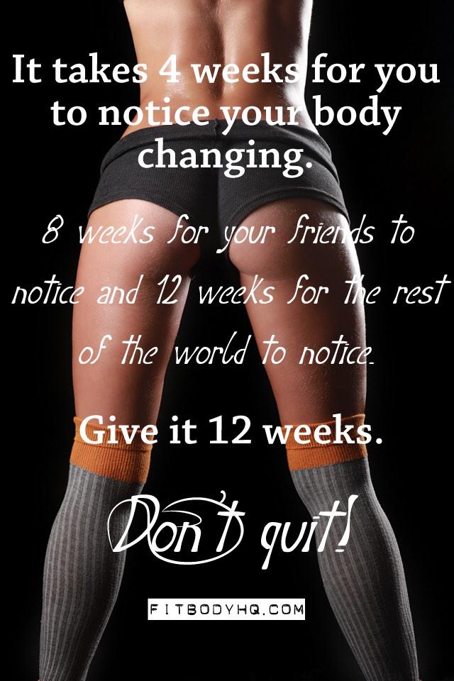 lillysachiko's tweet photo. It only takes 12 weeks #dontquit #earnit #earnit  #kaizen #kaizennatural #bikinigirl #bikinitall @kaizennaturals http://t.co/E5FVuTPdQf