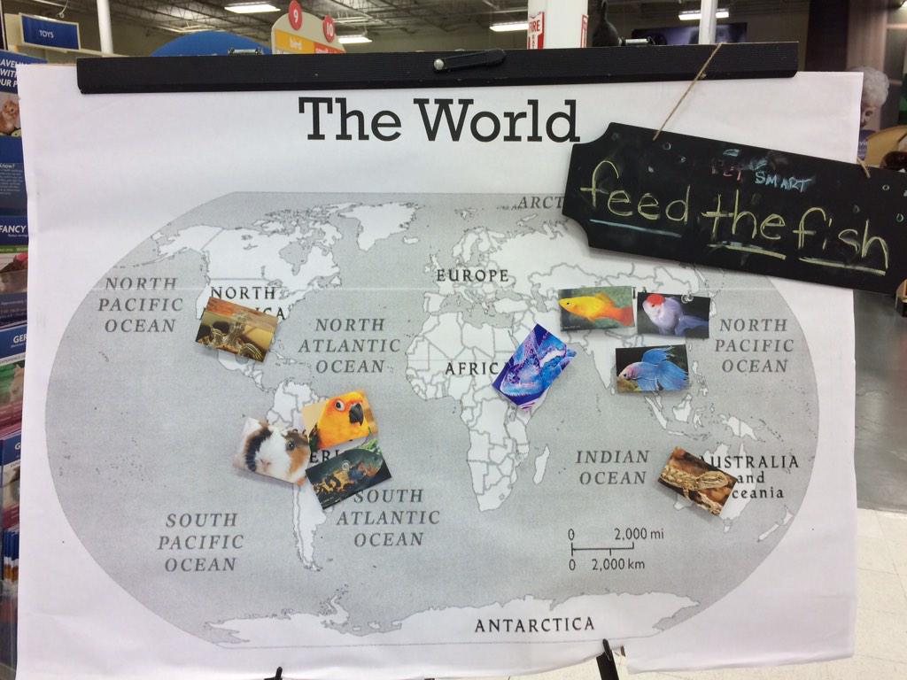 kaj7909's tweet photo. It's almost time to #FeedTheFish !!!!!
#austinpetm http://t.co/0Hey6rHMnq