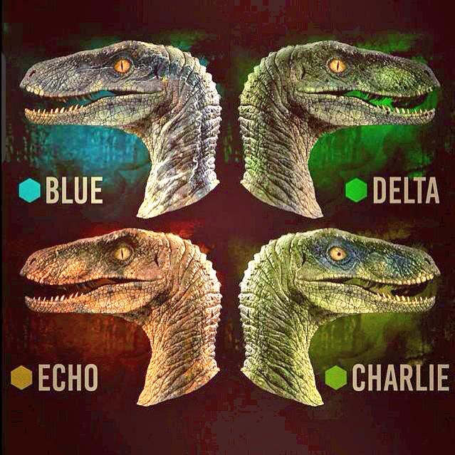 Nombres de los raptores Nombres de los raptores