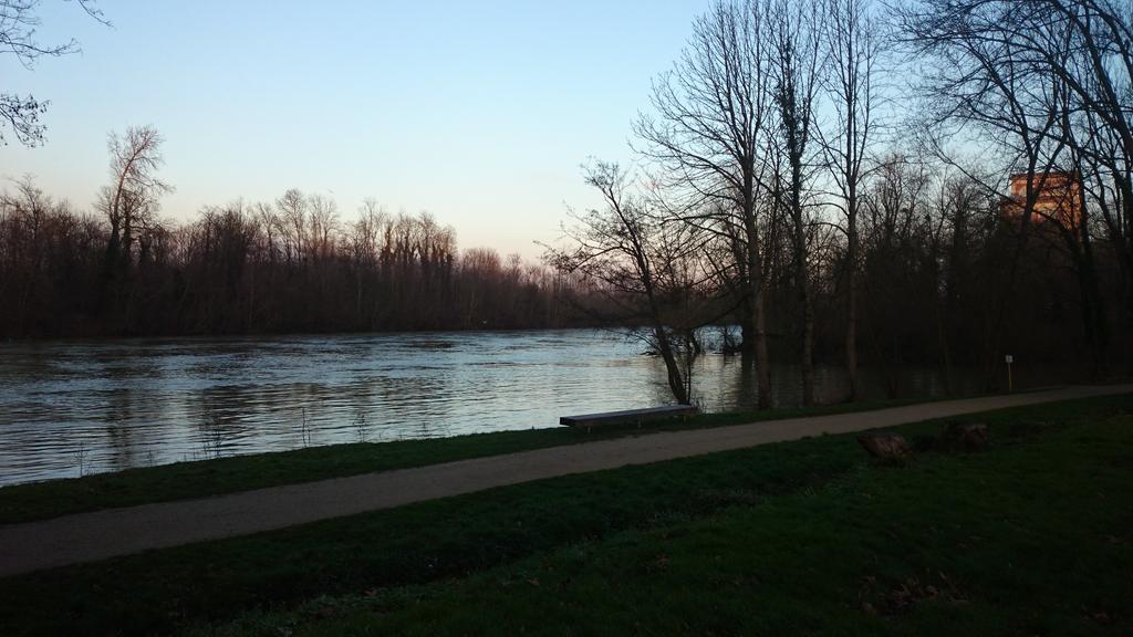 DamnedKiwi's tweet image. #QuickEscape
