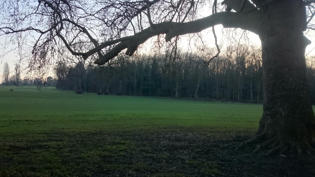 DamnedKiwi's tweet image. #QuickEscape