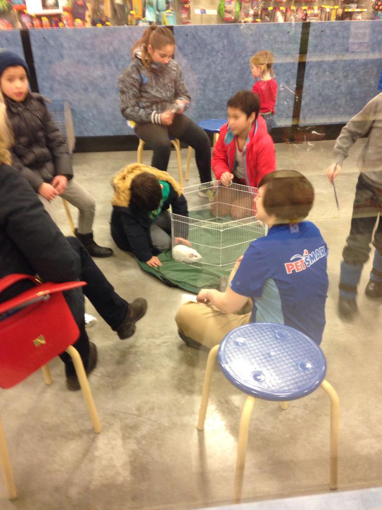 chrisp33bb's tweet photo. Playing and learning about this little guy! Kids are loving it! @PetSmart923 #feedthefish #Inspiredbypets http://t.co/b3fGm2AORG
