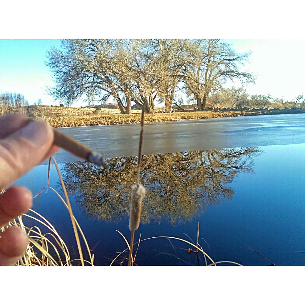 p00rBoyGenetics's tweet photo. Love goin out to smoke #marijuana #bud #weed #pot #stoners #scenictokers #budzombies #naturechaser http://t.co/VAono4Sp7v