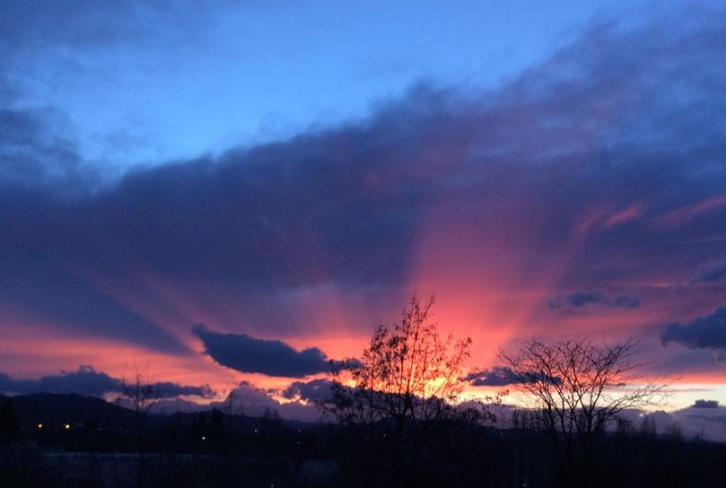 Biofafafa's tweet image. Il cielo sopra #Bologna 
#scalaC