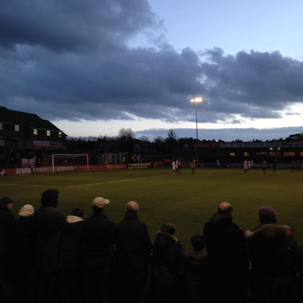 eleanorstaxi's tweet photo. An afternoon of birdwatching. The robins v the gulls. http://t.co/Wiprs22ZTy