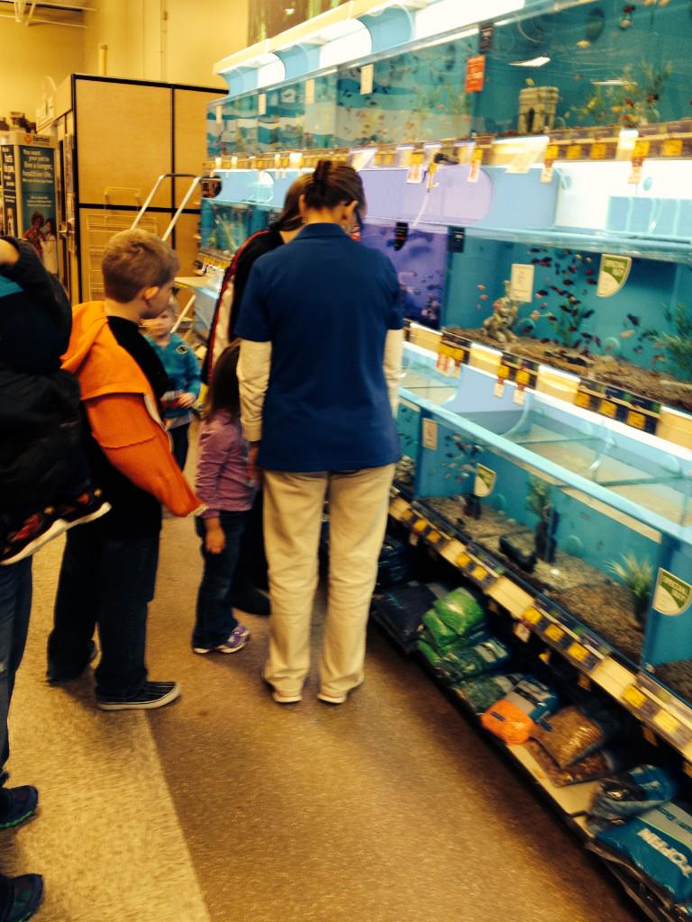 TempleManager's tweet photo. #feedthefish time!! #inspiredbypets http://t.co/hRsI1mRW2S