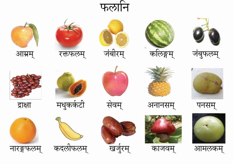 स दर शन V Twitter Chandijoshi Sudarshanhs I Thought Banana Was Rambhaphalam Curious Where Did You Hear It No कदल Is The Widely Used Name For Banana Twitter