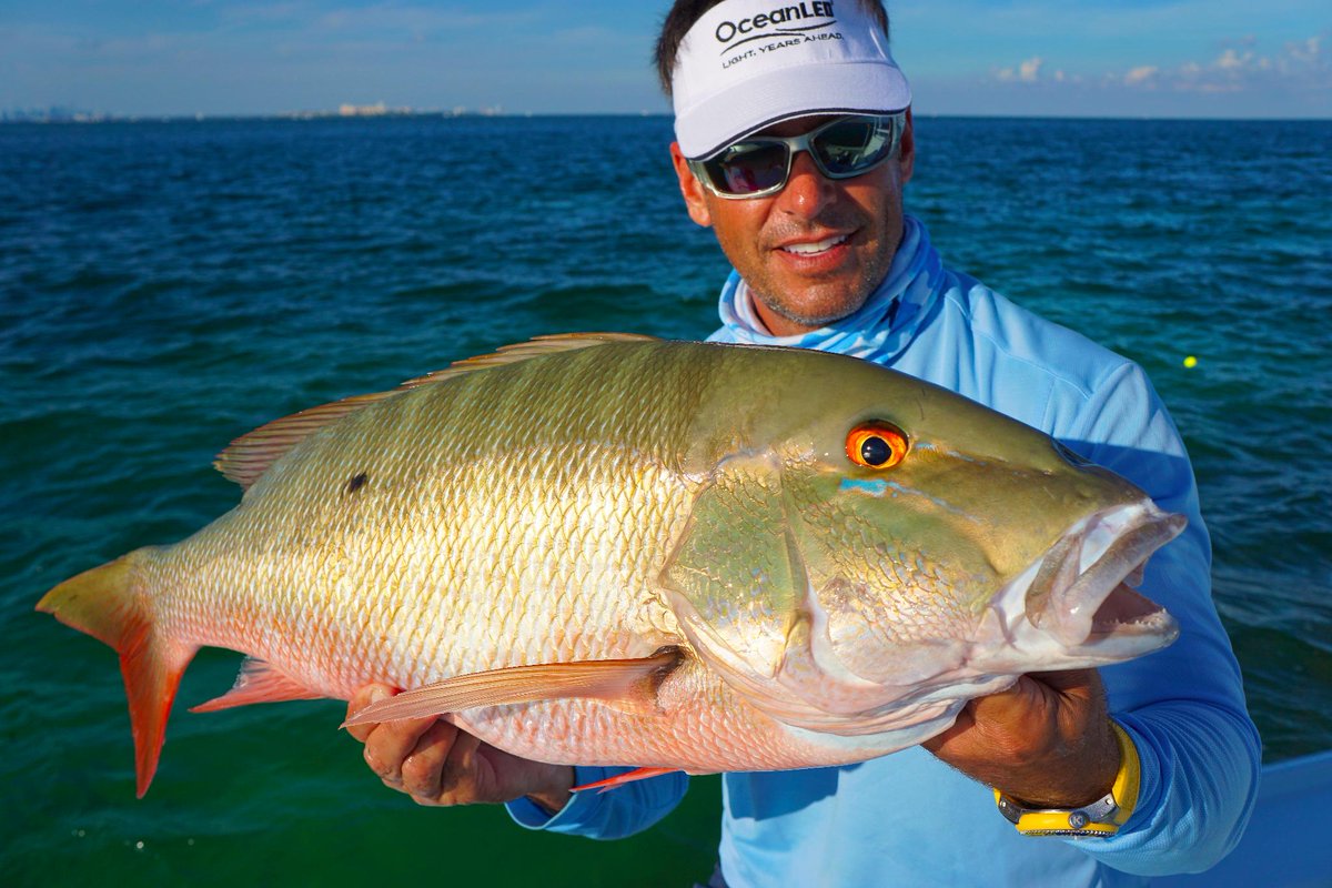 CostaSunglasses's tweet photo. #SnapperSaturday RT @PeterMillerFish: Mutton snapper off Miami...have a great Saturday! @OceanLEDMarine http://t.co/OvJz8Nf3KA