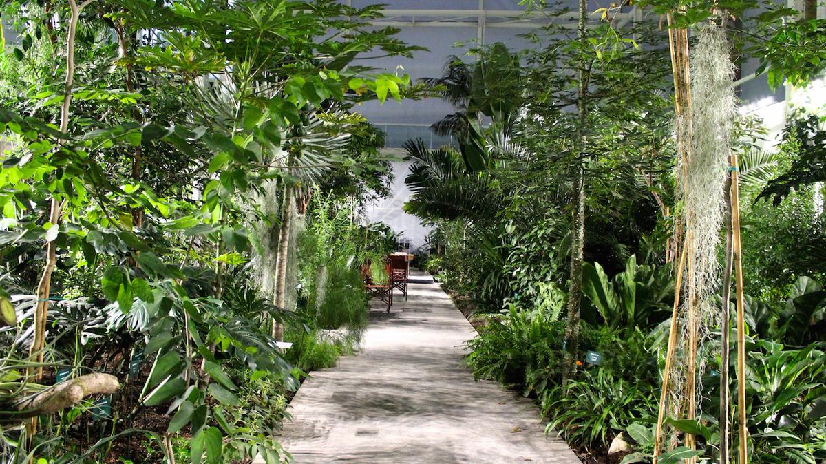 SonigTchakerian's tweet photo. Playing #Bach @OrtoBotanicoPd http://t.co/j69lajI8A5