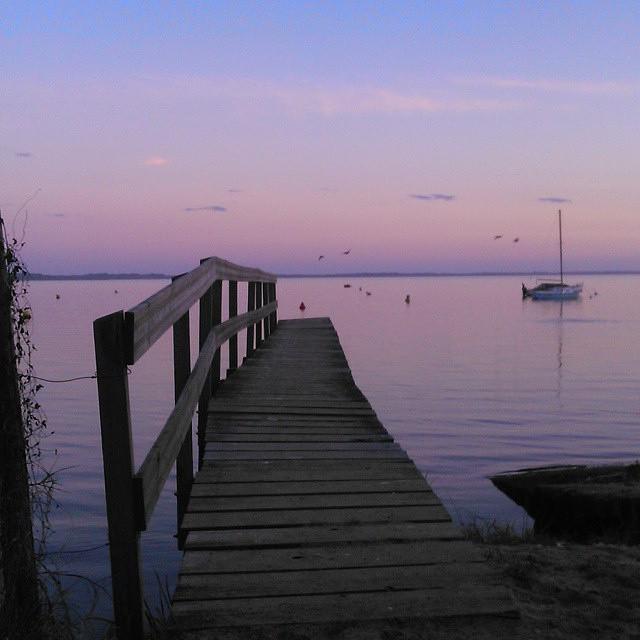 SortirdansMedoc's tweet photo. Les #couleurs hivernales se reflètent sur #lac au #Moutchic - Photo @mazzacycling \\ #Te... http://t.co/uiMIKJilYG http://t.co/7Z2ZvAcdUT