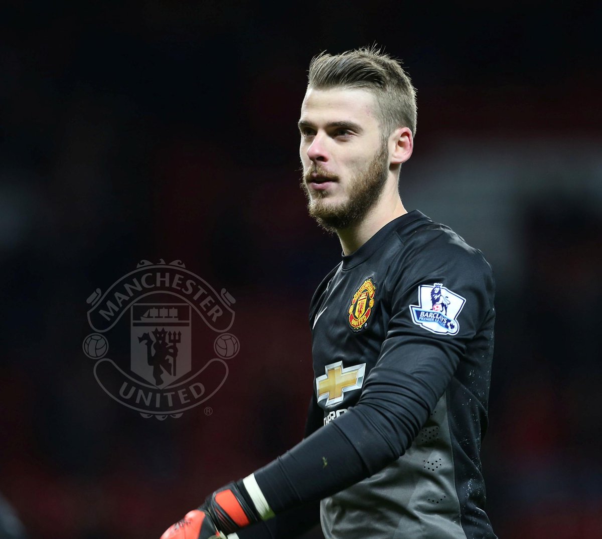 ManUtd's tweet photo. Retweet if David De Gea was your Man of the Match in the win over QPR. #mufc http://t.co/AzWzyUqjfV