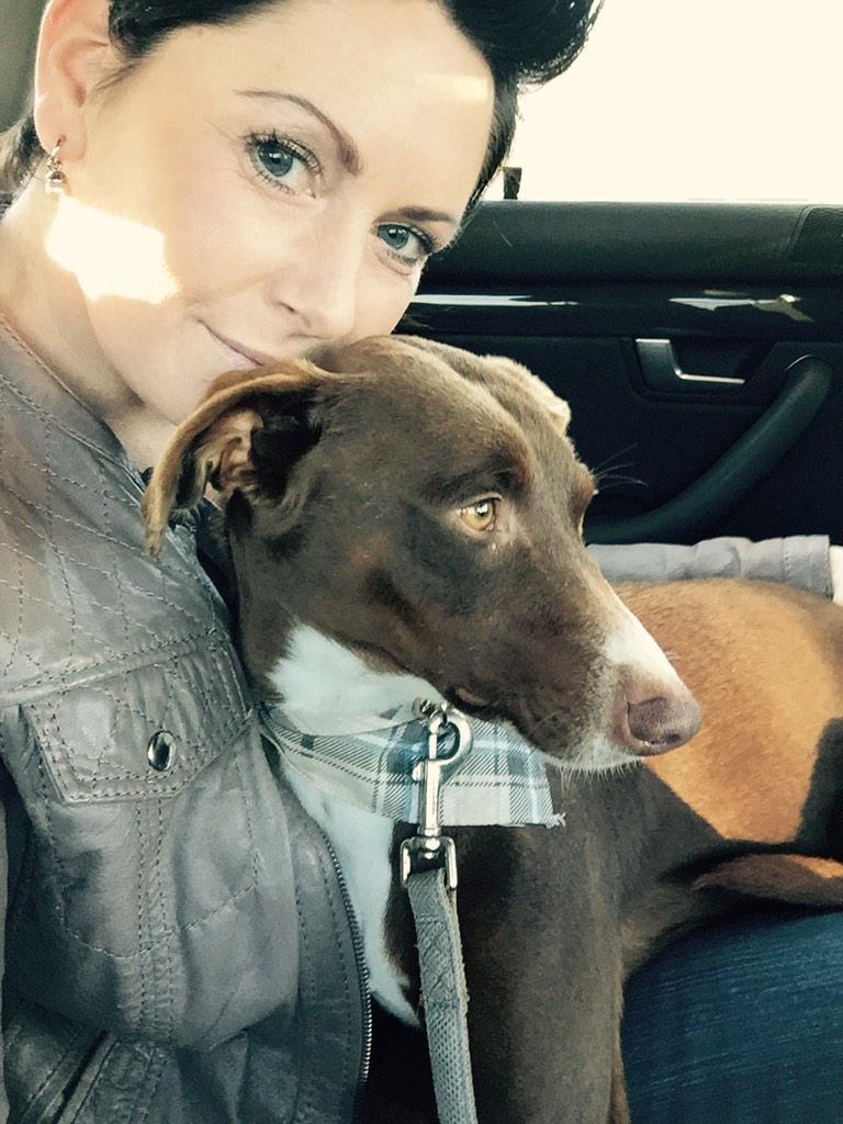 Meet our 1st foster Brauny!! #foster #shelter #shelterdog #animalinneed #unconditionallove animalinneed.com