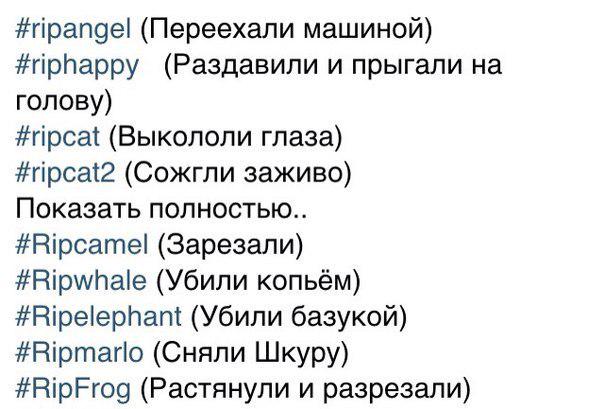 meowews's tweet photo. Хватит убивать невинных зверюшек!
#ripangel
#riphappy
#ripcat
#Ripcamel
#Ripwhele
#Ripelephant
#Ripmarlo
#RipFrog http://t.co/Xsj2kx9lHj