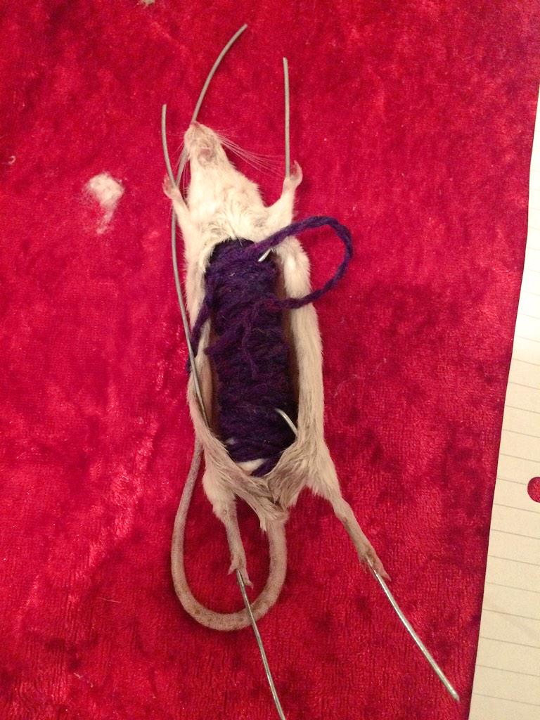 Embedded image permalink