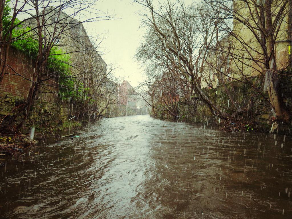 Grim weather in the urban wasteland today. Grayling obliging despite this: 20-odd returned on a slowly rising water.