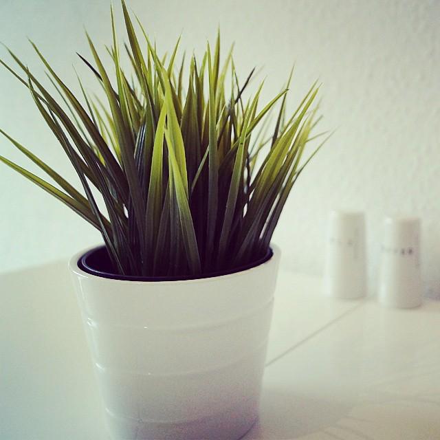 Herr_Benjamin_'s tweet photo. Neue #Küche 😍 http://t.co/wjKNRdegN3 http://t.co/3VvrbbWD5S