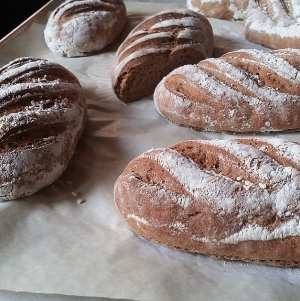Pain de Siegle made with local <a href="/gristandtoll/">Grist & Toll</a> rye flour! ! A classic pairing with oysters for our shiny new Raw Bar.