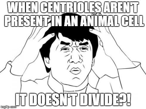 votecentrioles's tweet photo. Yes, my friends, we are very important. You should vote for us. @thebiospace #AHSOIC2015 http://t.co/InG86tvvFb