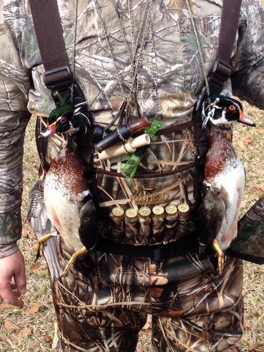 jdecker86's tweet image. A couple of "Woodies" at the duck pond this morning!