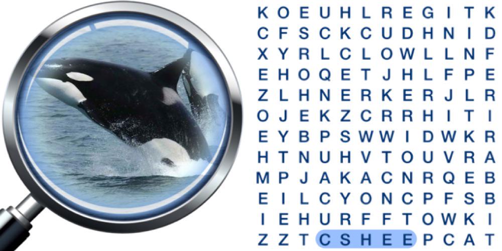 What's this ANIMALS pic?  
Get it! <a href="/PicWordsearch/">Word Search Pics</a> picwordsearch.com