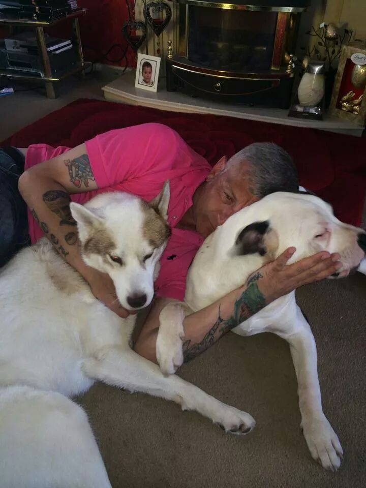 ReedLyndsey's tweet image. Murphy needs to be home now it's cruel who ever has him give him back to his  owners#GetMurphyHome 💂💂#murphysarmy💂💂