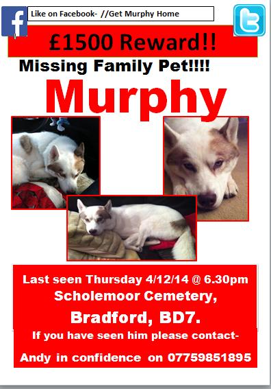 ReedLyndsey's tweet image. Murphy needs to be home now it's cruel who ever has him give him back to his  owners#GetMurphyHome 💂💂#murphysarmy💂💂
