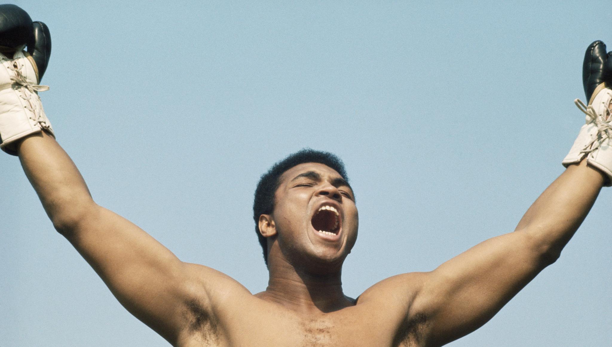 He floats like a butterfly and stings like a bee.

Happy 73rd Birthday to Muhammad Ali! 