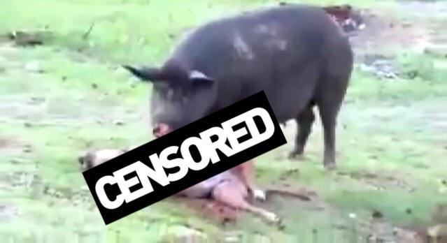 THE GOD KING tweet media