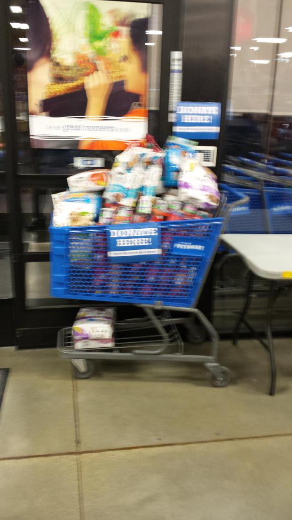 The basket over runith....#eastpetm #inspiredbypets <a href="/JulzLawrence/">Julz Lawrence </a>
