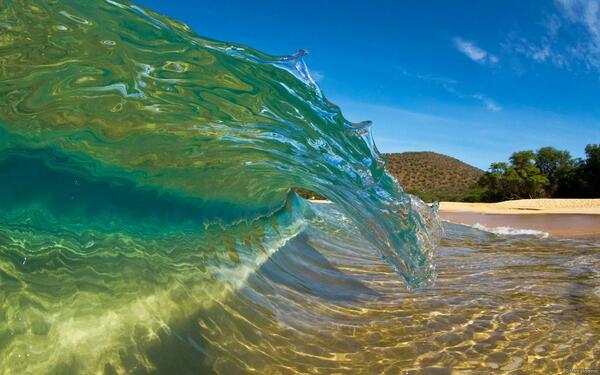 gede_prama tweet picture