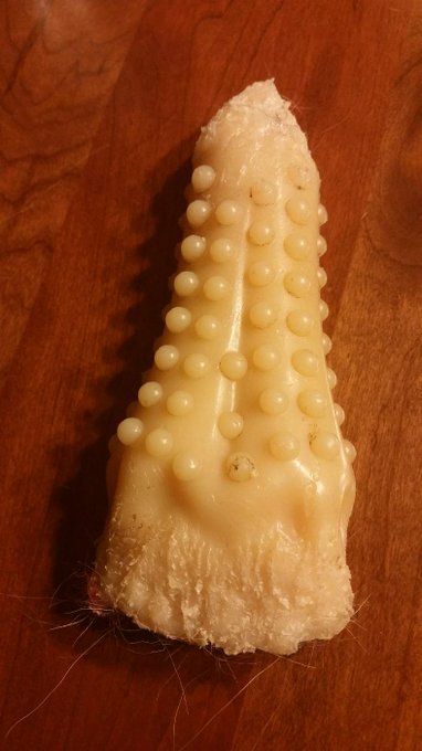 Watch Lee Cypress's leaked NSFW photo on TwXstars