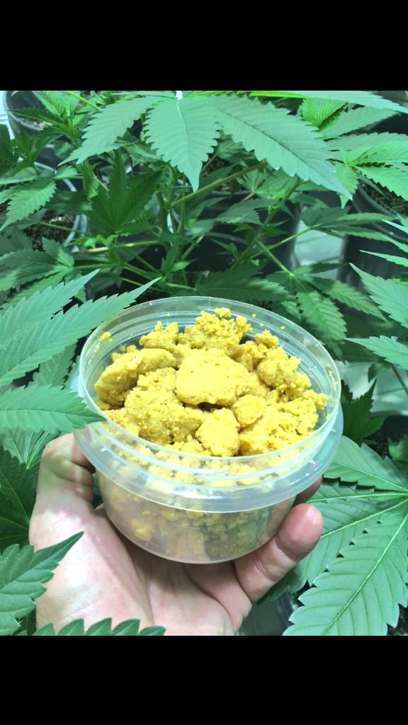 fourfatherfarms's tweet image. 😈 Happy Saturday 😈 #APlusOnly #LoyaltyOverRoyalty My Whole Squad On that Real 💯 We Grow For U 👷