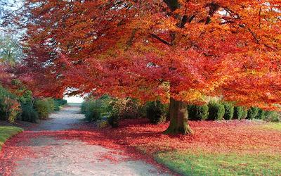 AboutOfNature's tweet photo. cantik yaaa... http://t.co/kwmOL8QWAu