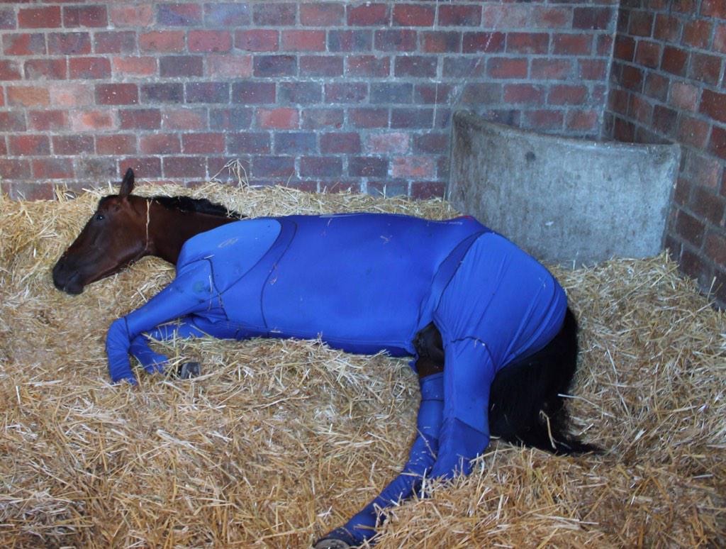 futuraRSA's tweet photo. Counting the sleeps til the #2015J&amp;BMet enjoying a Sunday morning lie in my @HidezWear PJ's 💤💤💤🏇🏆🎉@racing_itsarush http://t.co/HYEWPZqHv5