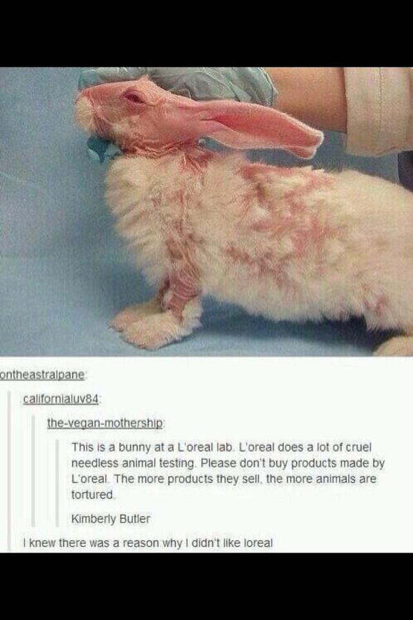 NEVER WANTED A PIC TO SPREAD MORE THAN THIS #Retweet