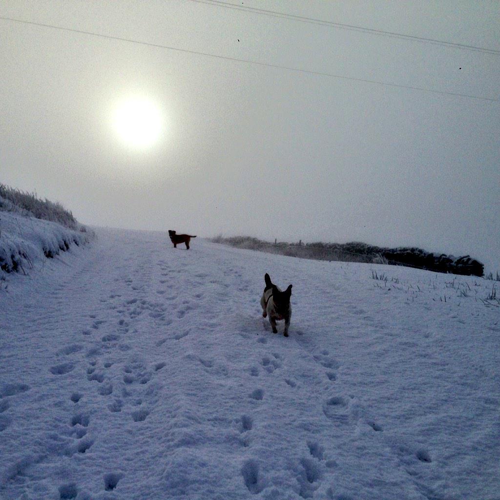downhamclarke's tweet photo. #burnthrough #pennines http://t.co/soZ4ajxVDm