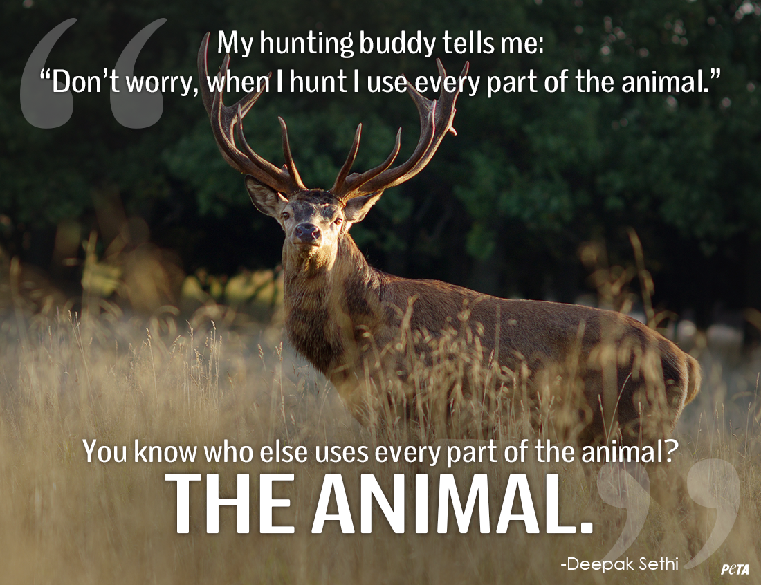 peta tweet picture