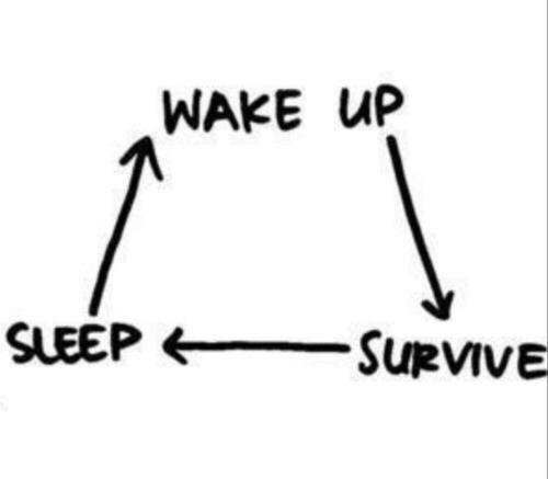 Perfect representation of my life ⬇️