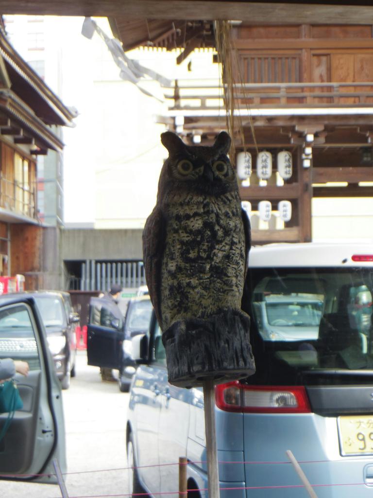 ssss8024's tweet image. @sst8024 手水舎にいました。ほー。 #何か意味があるのかな？