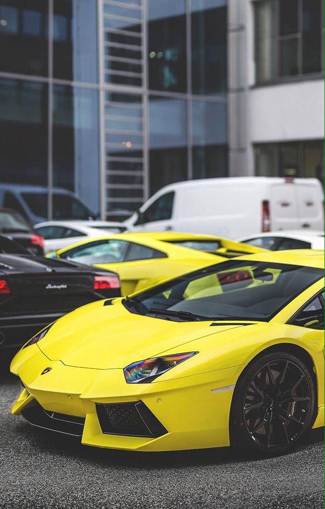 OnlyLambo's tweet image. 