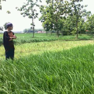EgaMara2's tweet photo. RT @dedenjaparsidik #NoEdit http://t.co/ZYKgFp5mCI