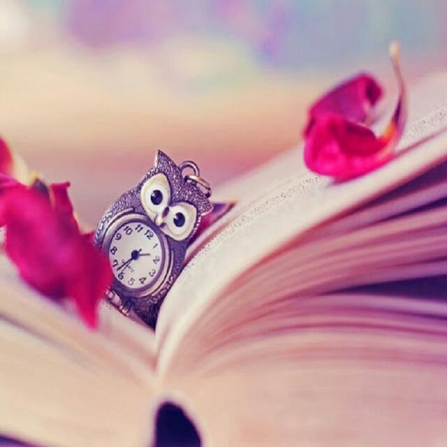 Bloggerin03's tweet image. Träume deinen Traum nicht sonder lebe deinen Traum