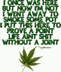 ArmaghaanAli's tweet image. Oh yeah. #maryjane #highlogic