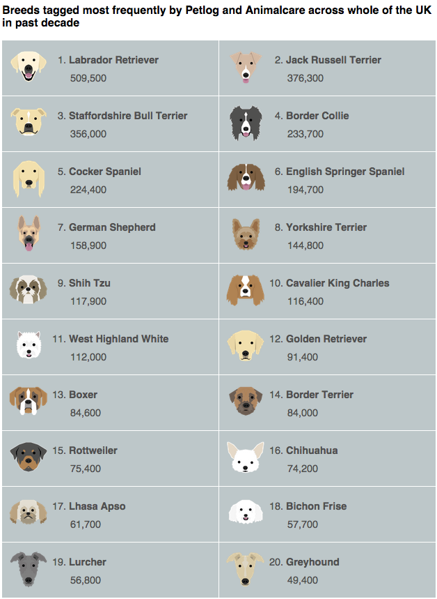 petlog kennel club