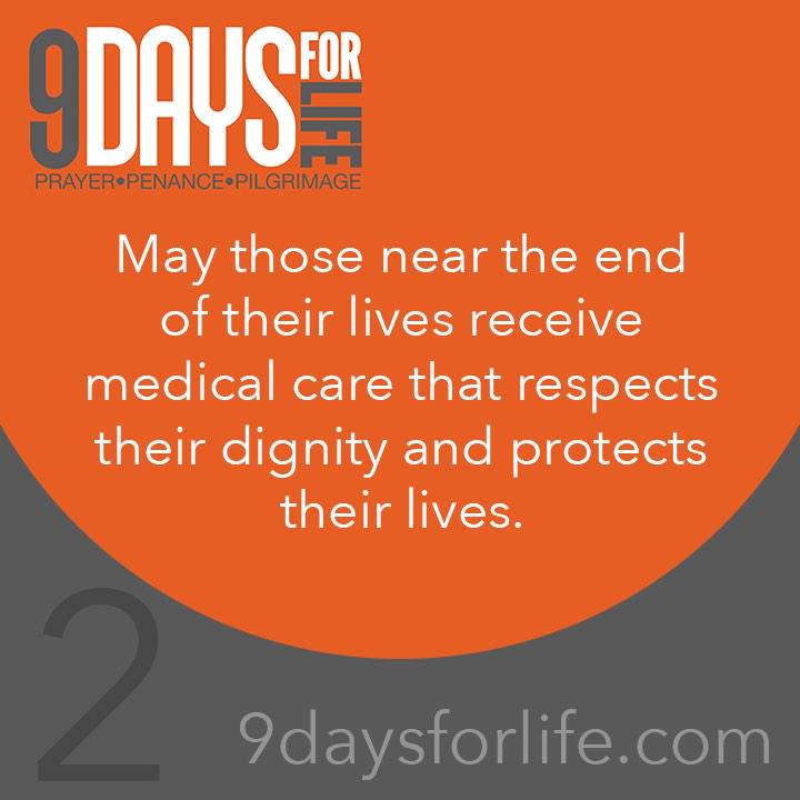 USCCB's tweet photo. #9DaysforLife: Support the lonely—reaching out to others is a sign of Christ’s love. http://t.co/viSjgOv2dn http://t.co/q32s5wtsz4