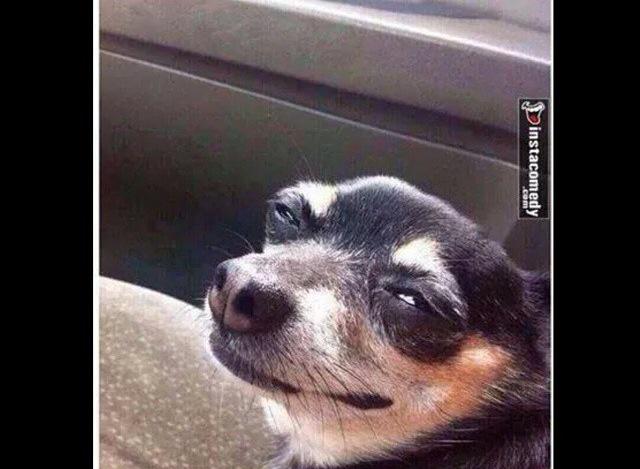anatoli_par's tweet photo. When alex doesn't dm me... #MeAlex @ImAlexHoltti πππ http://t.co/m47t3Oi1r6